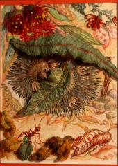 Just Kidding with Catherine Howell